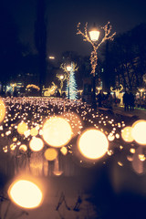 Boulevard Christmas Lights