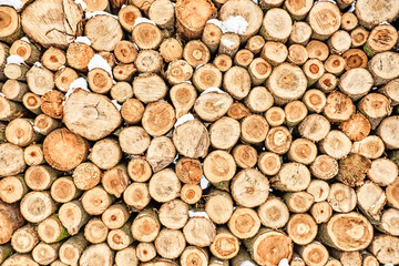 wooden logs with white snow natural color front view background cutted trees in stacks of logs in lumber storage for winter nature environment forest life global pollution green peace landscape scene