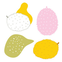 Exotic tropical fruits Jackfuit set Hand drawn sketch doodle design elements with abstract shapes