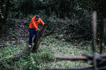 Hiker with backpack is walking in the forest on a sunny day - traveler exploring landscape concept image