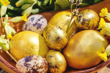 Easter egg on garden grass background, happy easter day concept