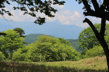 横根高原の遊歩道（皇海山）