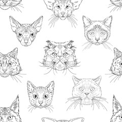 Cats portraits heads of different breeds seamless pattern. Vector black and white hand drawn graphics for textile or paper prints for cats lovers