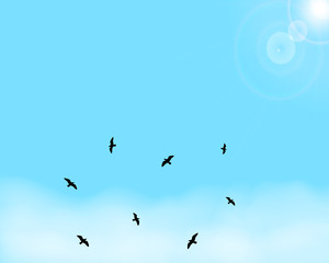 Blue sky background with sunshine and clouds. Above the silhouette of flying birds space for the copy. Vector illustration.
