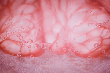 grapefruit close - up macro