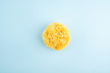 Tremella on a light blue background