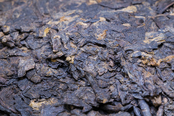 Chinese tea close-up