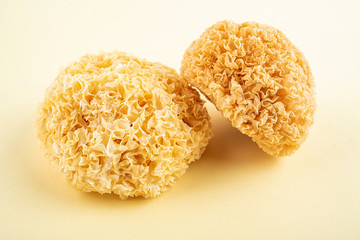 Fungus food boutique white fungus