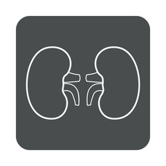 Icono plano lineal riñones en cuadrado color gris