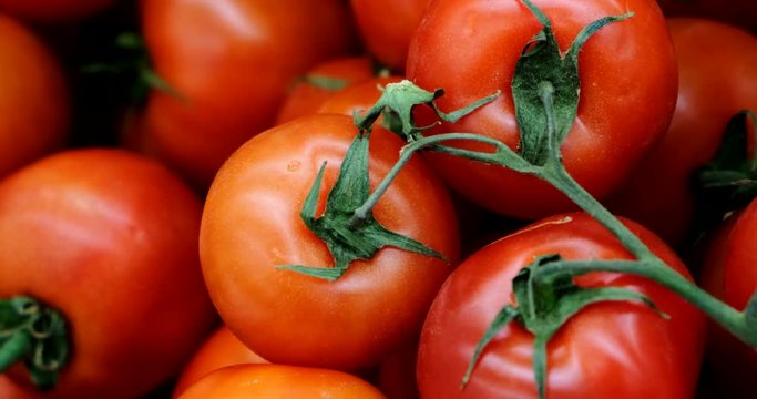 fresh Red tomatoes in stall at supermarket
