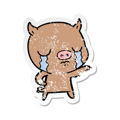distressed sticker of a cartoon pig crying pointing