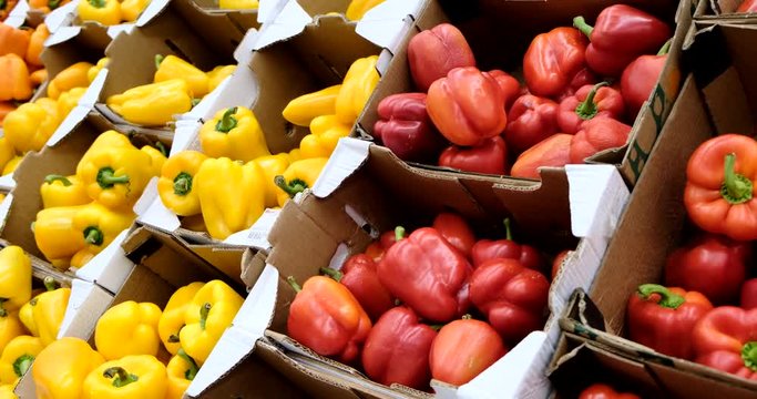 Multi Colored Bell Pepper Placed on Shelves at Conventional Market