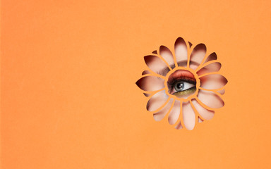 The Eyes of the Young Beautiful Woman with Bright Pink Shadows and Expressive Eyebrows, Looks in the Flower Shaped Pattern out of Orange Paper. Gerbera Flower. Summer Patterns. Advertising Banner