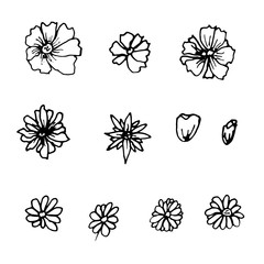 Doodle flowers set in beautiful style. Flat illustration design.