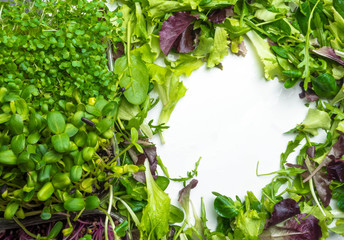 mix of fresh lettuce, spinach, micro greens with copy space