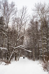Two women are walking in the winter park.