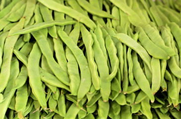 A group of fresh green bean pods are stacked in rows. A cropped shot, horizontal, close-up, top view. The concept of agriculture and proper nutrition.