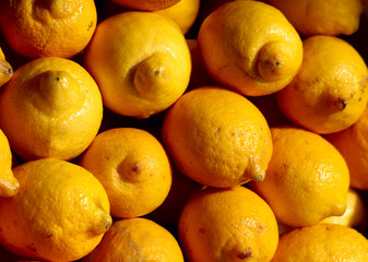 A group of fresh yellow lemons lie in rows on the counter on the market. Cropped shot, horizontal, close-up, top view. Concept of agriculture and proper nutrition.