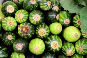 A group of fresh green striped zucchini are stacked in rows. Cropped shot, horizontal, close-up, front view. Concept of agriculture and proper nutrition.