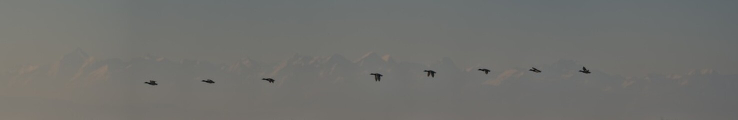 Oasi di Racconigi