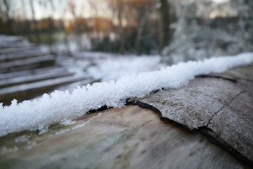 Baumstamm mit Schnee