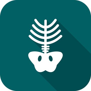 x ray symbol png