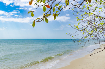 Empty beaches in the tropics