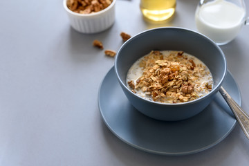 Granola bowl (oatmeal porridge) with blueberry, honey and milk on gray table. Flat lay. Selective focus. Healthy vegetarian food
