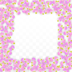 Vector Realistic Pink Petals Falling on Transparent Background.  Spring Romantic Flowers Illustration. Flying Petals. Sakura Spa Design. Blossom Confetti.