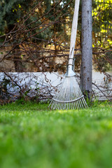Gardening rake leaning on tree on grass in garden