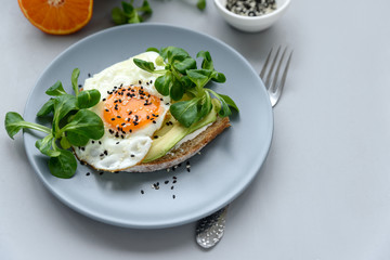 Toast (sandwich) with cream cheese, avocado, fried egg and greens on gray wooden background. Selective focus. Healthy eating or vegetarian food concept