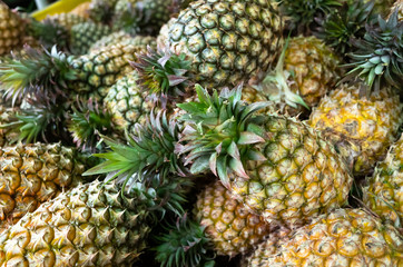 group of pineapple fruit