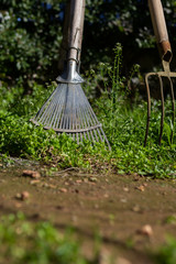 Gardening fork and rake in garden in bright sunlight