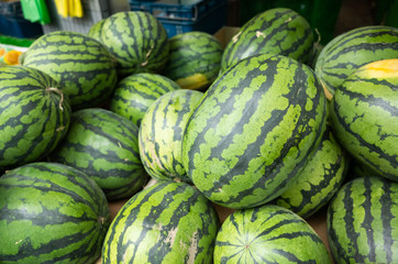 watermelon stacked on the marketplace