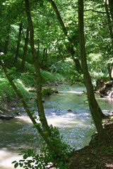 Gaja Brook - wonderbrook in Bakony