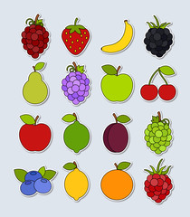 Collection of vector fruit stickers