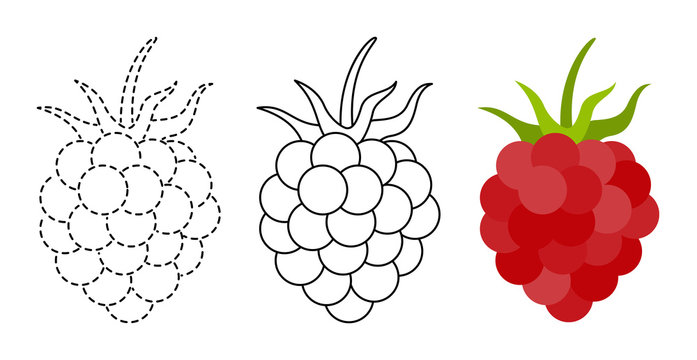 Raspberry to be colored and trace line educational game for kids