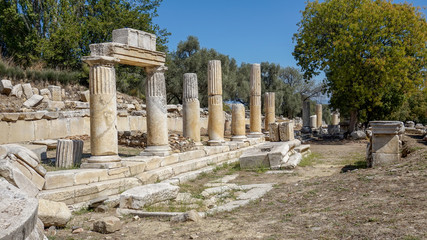 Lagina Ancient City 