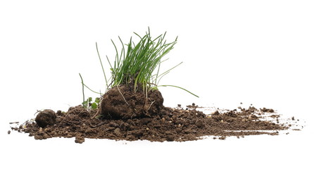 Green grass with dirt isolated on white background and texture