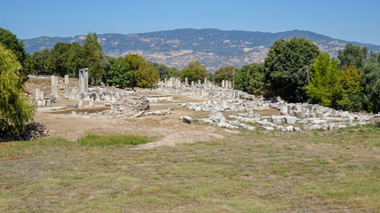 Fototapeta na wymiar Lagina Ancient City 