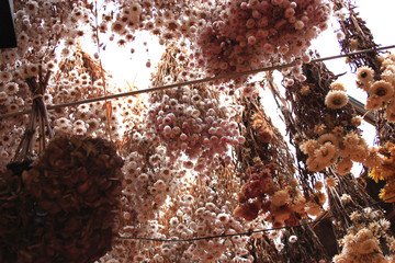 pink flowers hanging from the ceiling