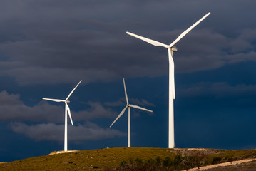 Fototapeta premium Field of wind generators