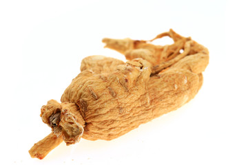 Ginseng on a white background