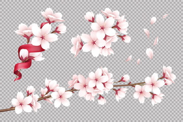 Cherry Flowers Background