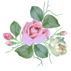 Naklejka premium Pink and white watercolor rosewith petals on white background. Vector clipart for design.