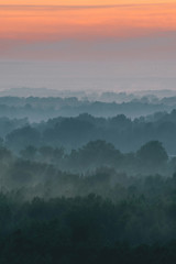 Fototapeta na wymiar Mystical view from top on forest under haze at early morning. Mist among layers from tree silhouettes in taiga under warm predawn sky. Morning atmospheric minimalistic landscape of majestic nature.