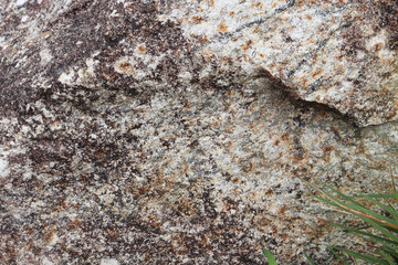 Stone texture - background