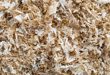 Brown Saw dust of wood texture background or abstract backdrop.