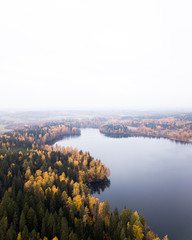 drone view of lake in autumn