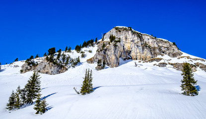 landscape near pertisau - austria